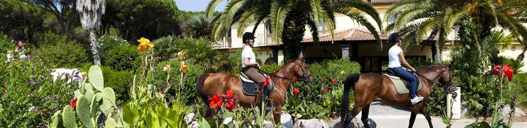 horse country 2 ilga