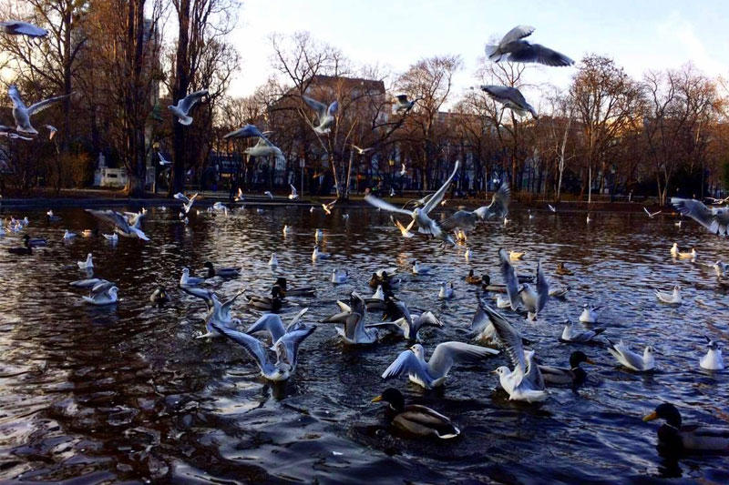 Pavasario-kryptis-Viena