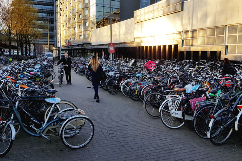Daug dviračių Amsterdamo centrinėje stotyje