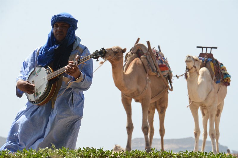 Marokietis groja instrumentu, kupranugariai fone